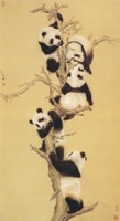 大熊猫(四)
