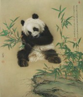 熊猫14
