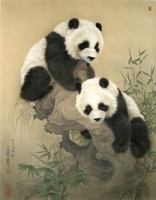 熊猫12