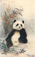 熊猫7