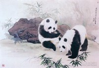 熊猫之三