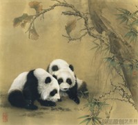 熊猫23