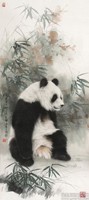 熊猫（26）