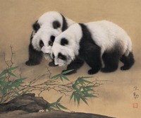 熊猫十四